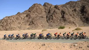 Danilith Nokere Koerse 2025 live stream: how to watch the road cycling free online
