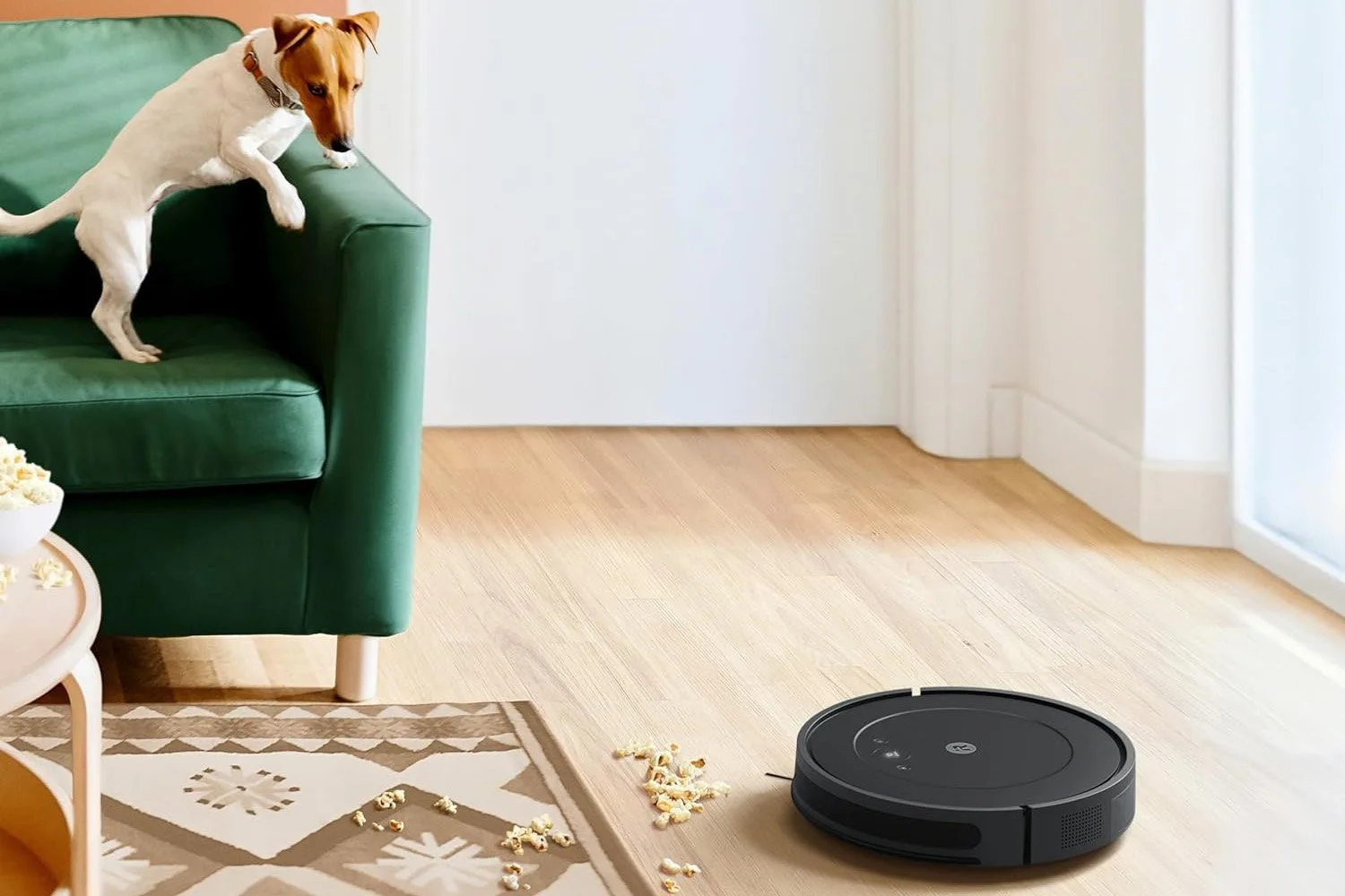 Roomba-Maker Warns Investors It Could Die, Stock Craters