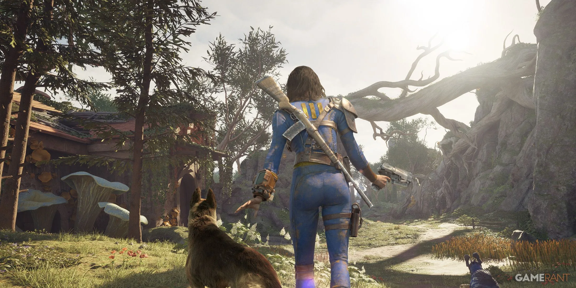 The Fallout Franchise Could Look To Avowed for a Future Narrative Premise