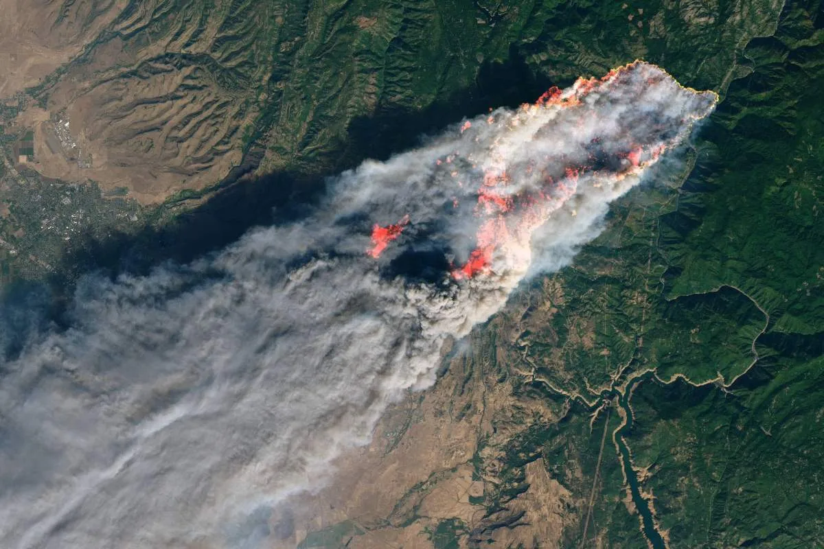 Google and Muon Space launch a new satellite to battle wildfires