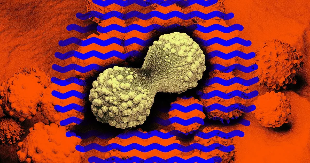 Cancer Vaccines Are Suddenly Looking Extremely Promising