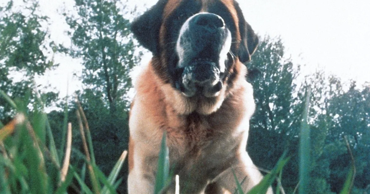 This iconic Stephen King thriller is getting remade as Netflix movie