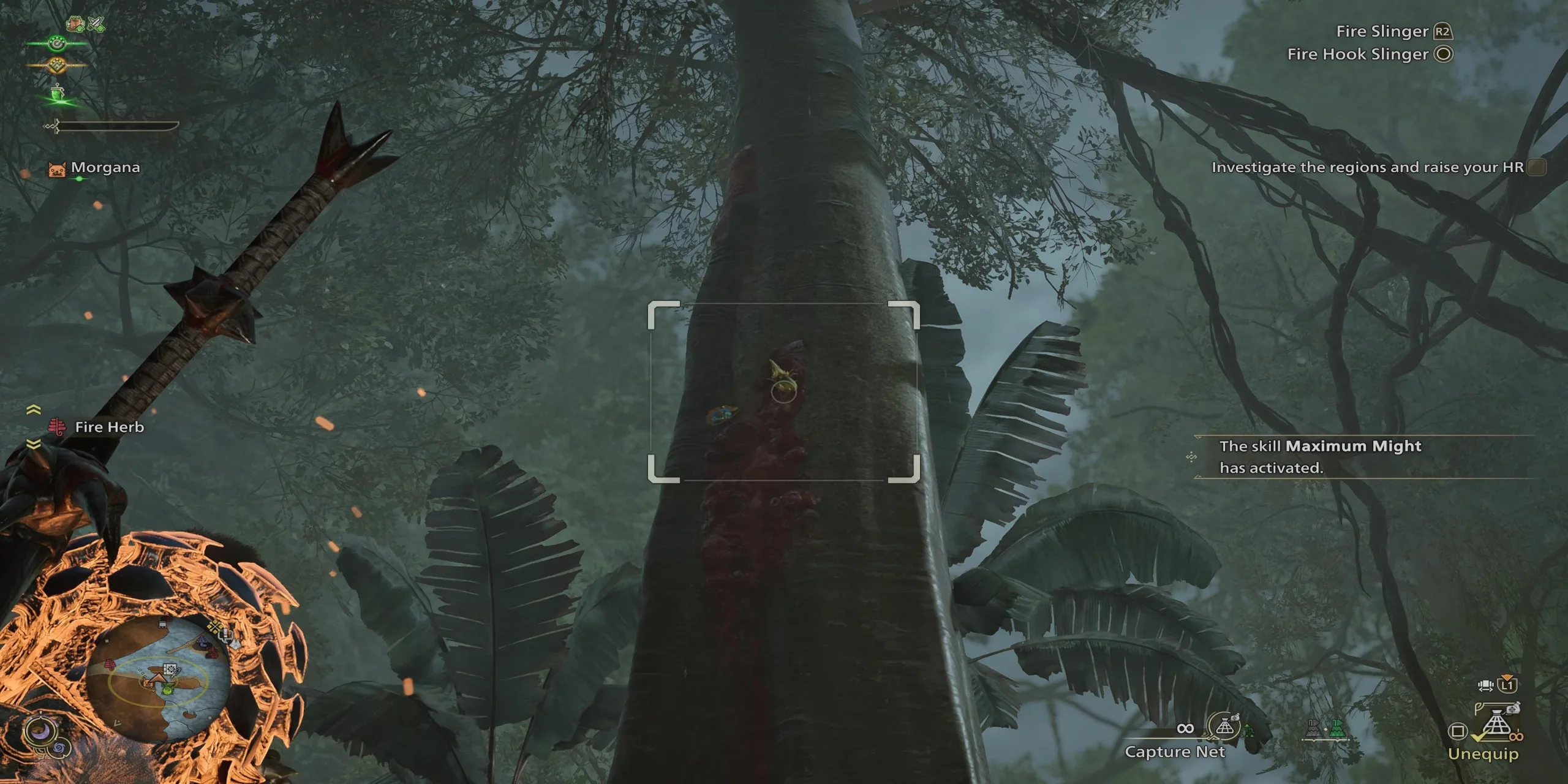 Where To Find Gold Hercudromes In Monster Hunter Wilds