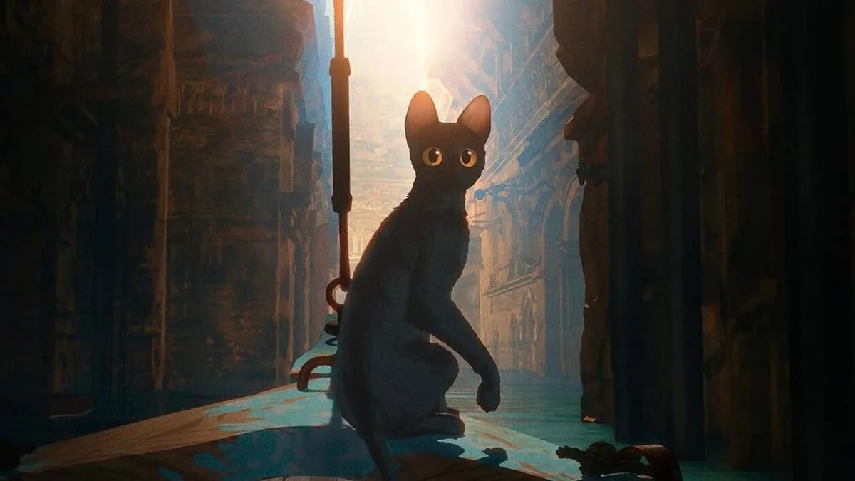 Stream the 2025 Oscar Winners: How to Watch Anora, Wicked, Flow and More