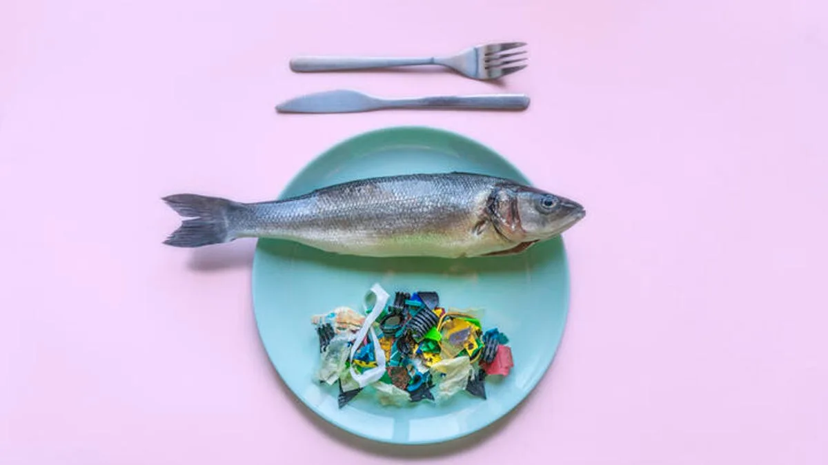 The Top 10 Foods That Have Microplastics and How to Avoid Them