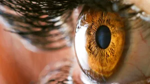 Want Healthier Eyes? 6 Vitamins and Supplements to Give You a Boost