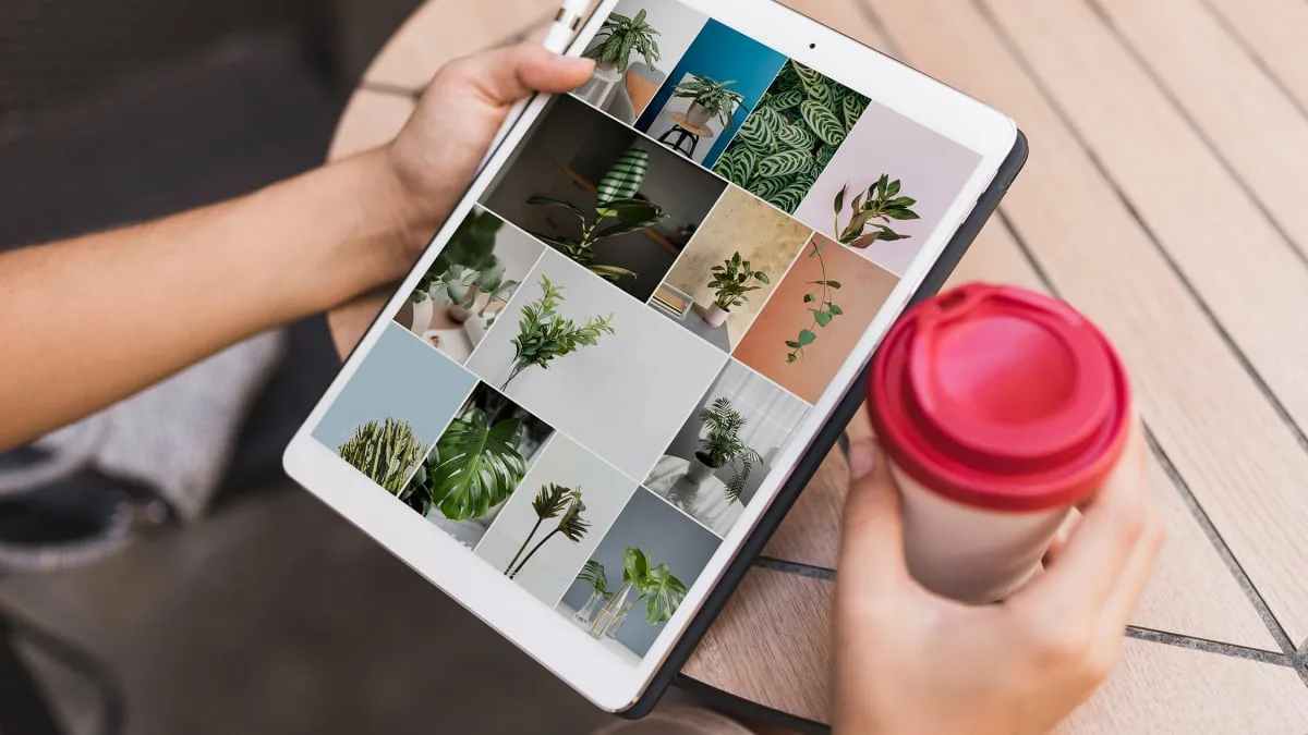 Get 2TB of automatic file backup for $100 off