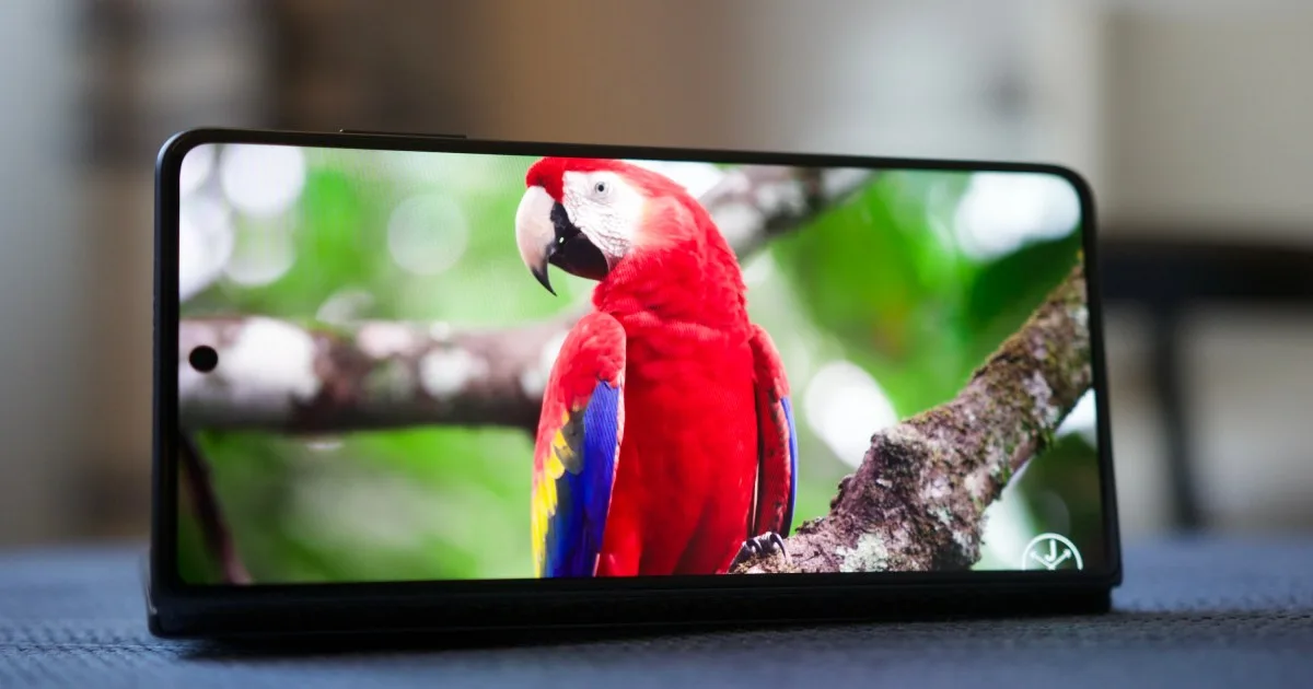 Another phone maker is now promising seven years of updates