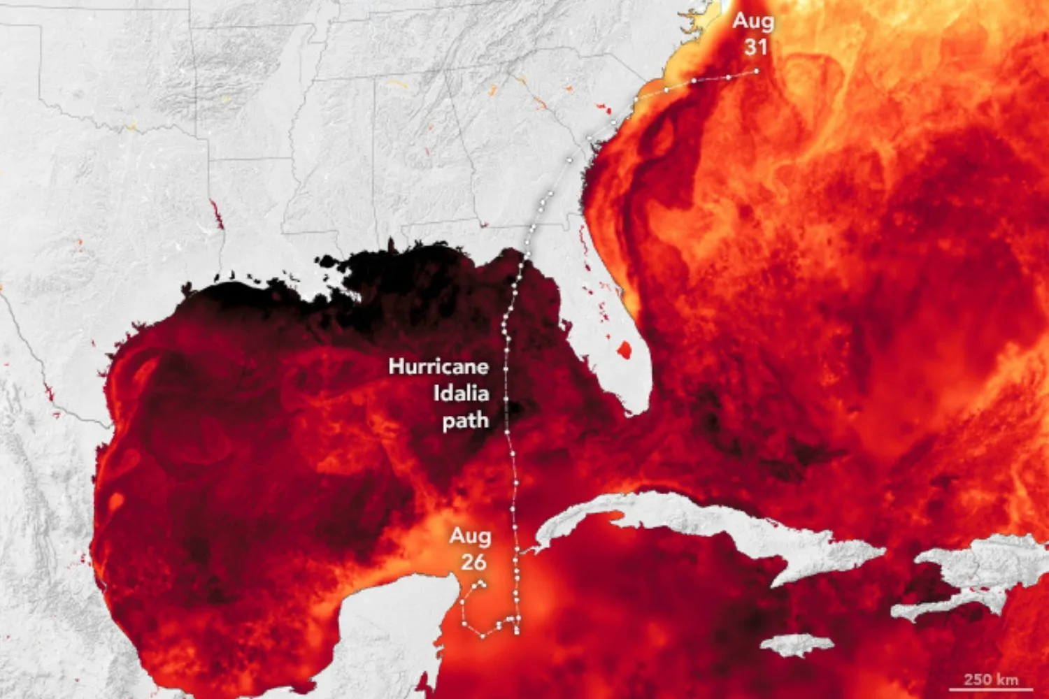A Surprising Factor Helped Supercharge Florida’s Catastrophic 2023 Hurricane Idalia