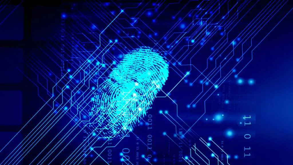 How to delete yourself from the internet