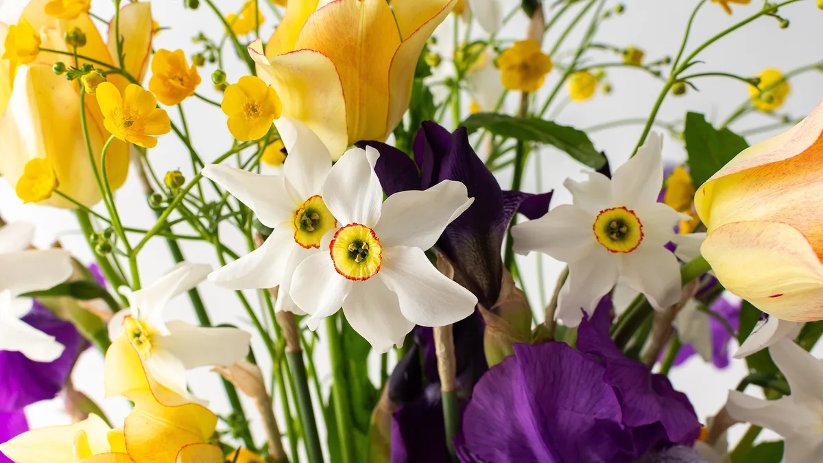 Expert florist hack makes your cut daffodils and other flowers last longer