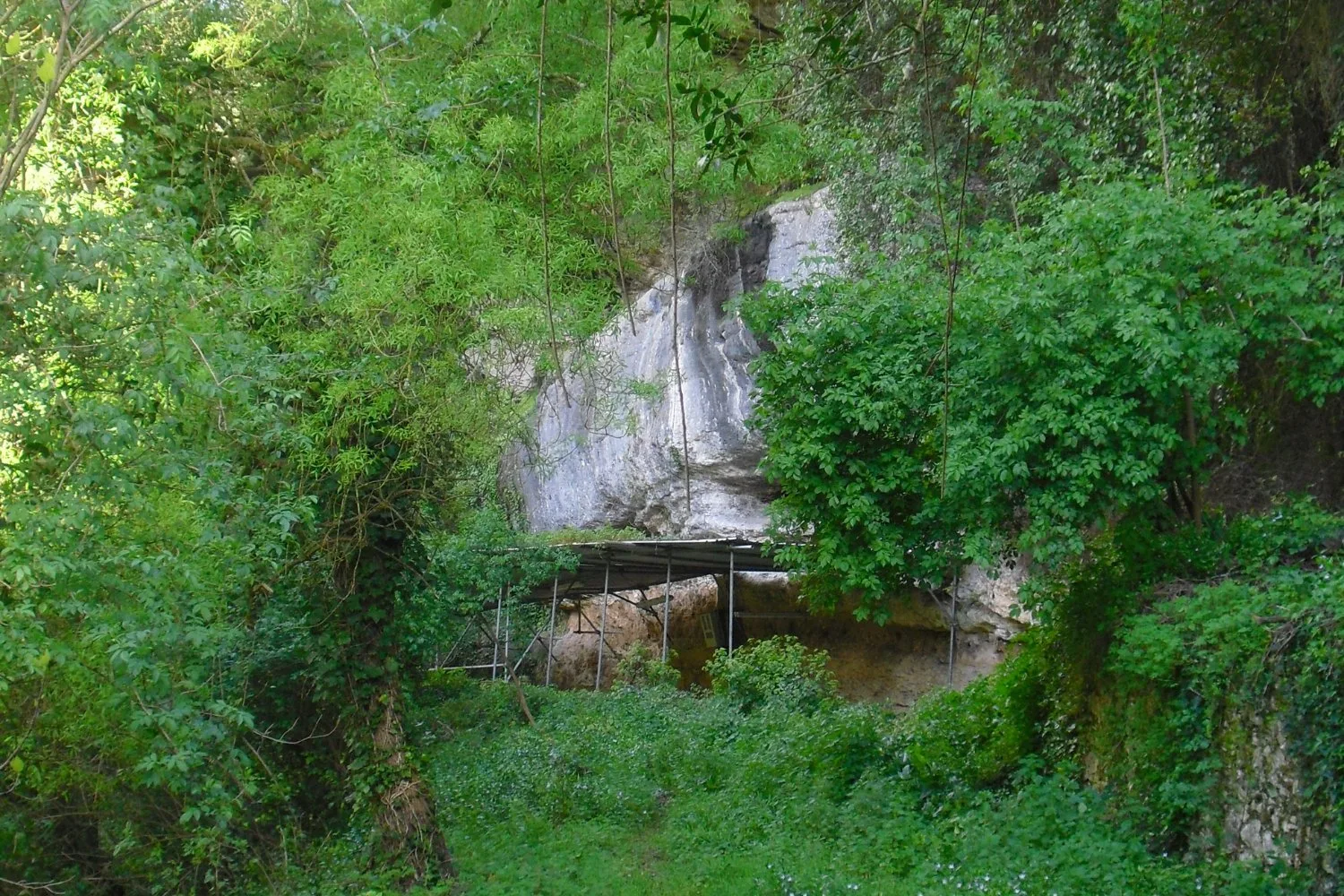 Age of Famous Neanderthal Hybrid Child Pinpointed With Breakthrough Method