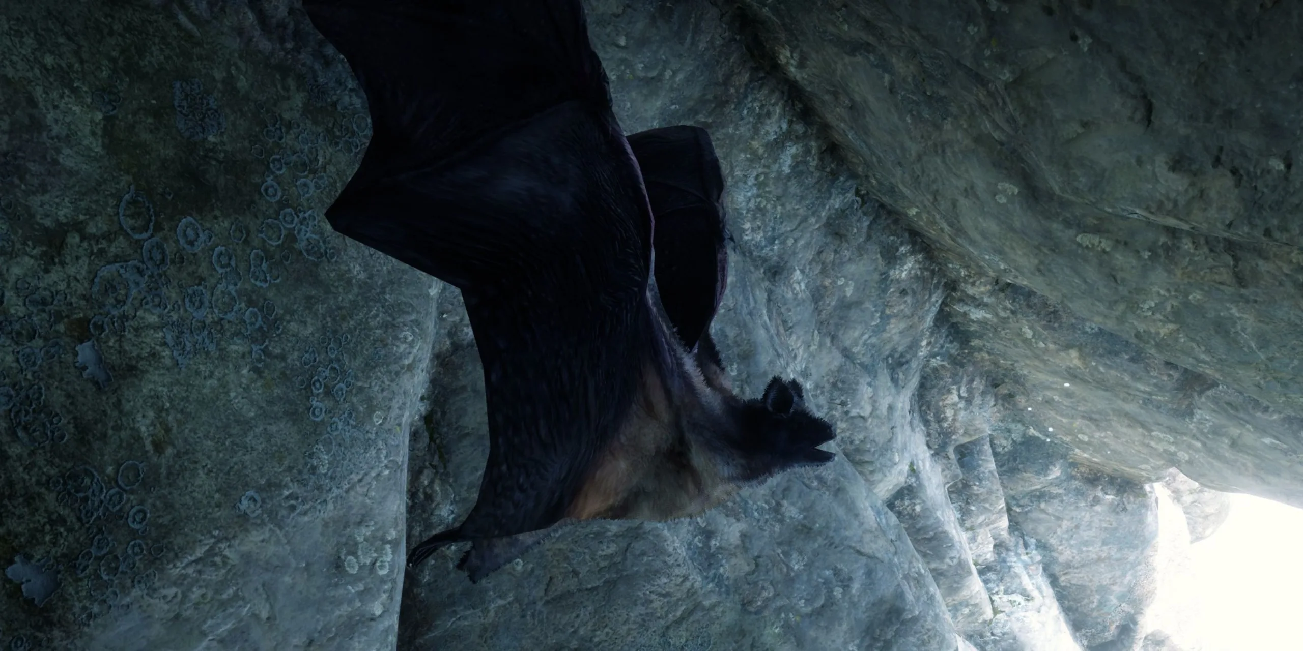 RDR2: Little Brown Bat Locations