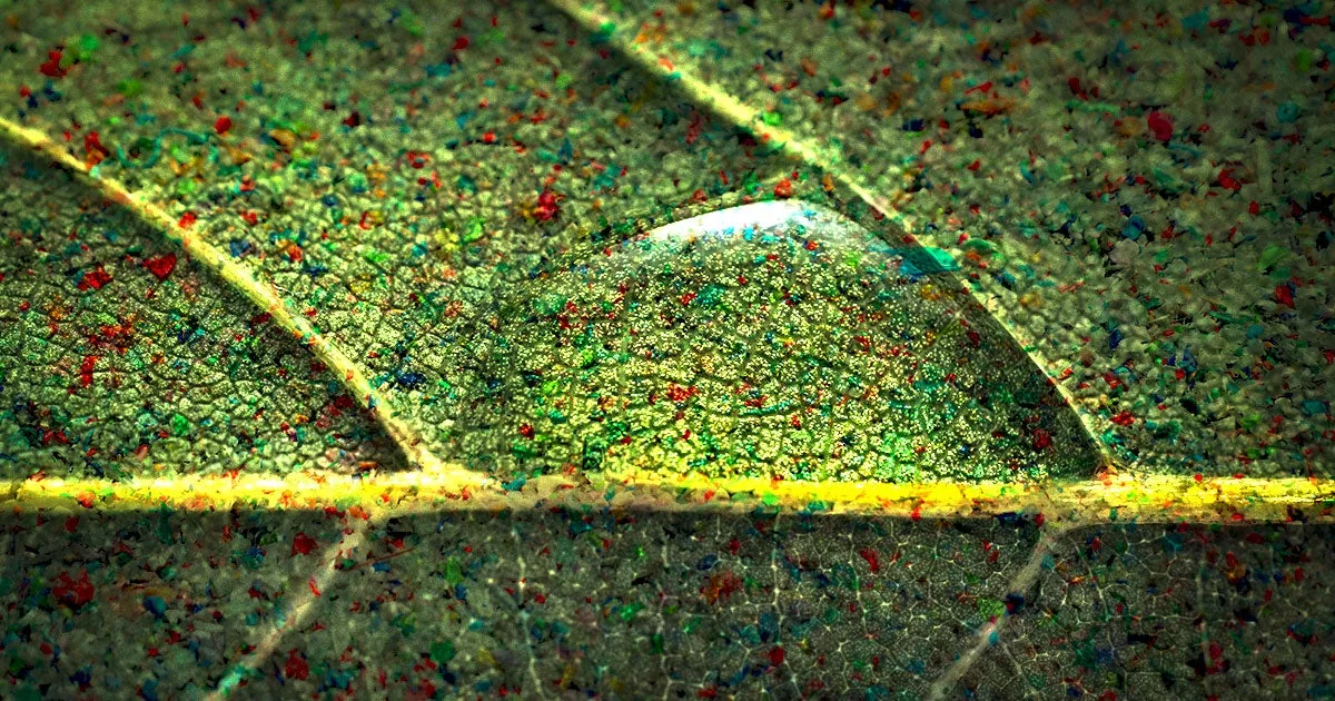 Scientists Just Discovered Something Absolutely Horrifying About Microplastics