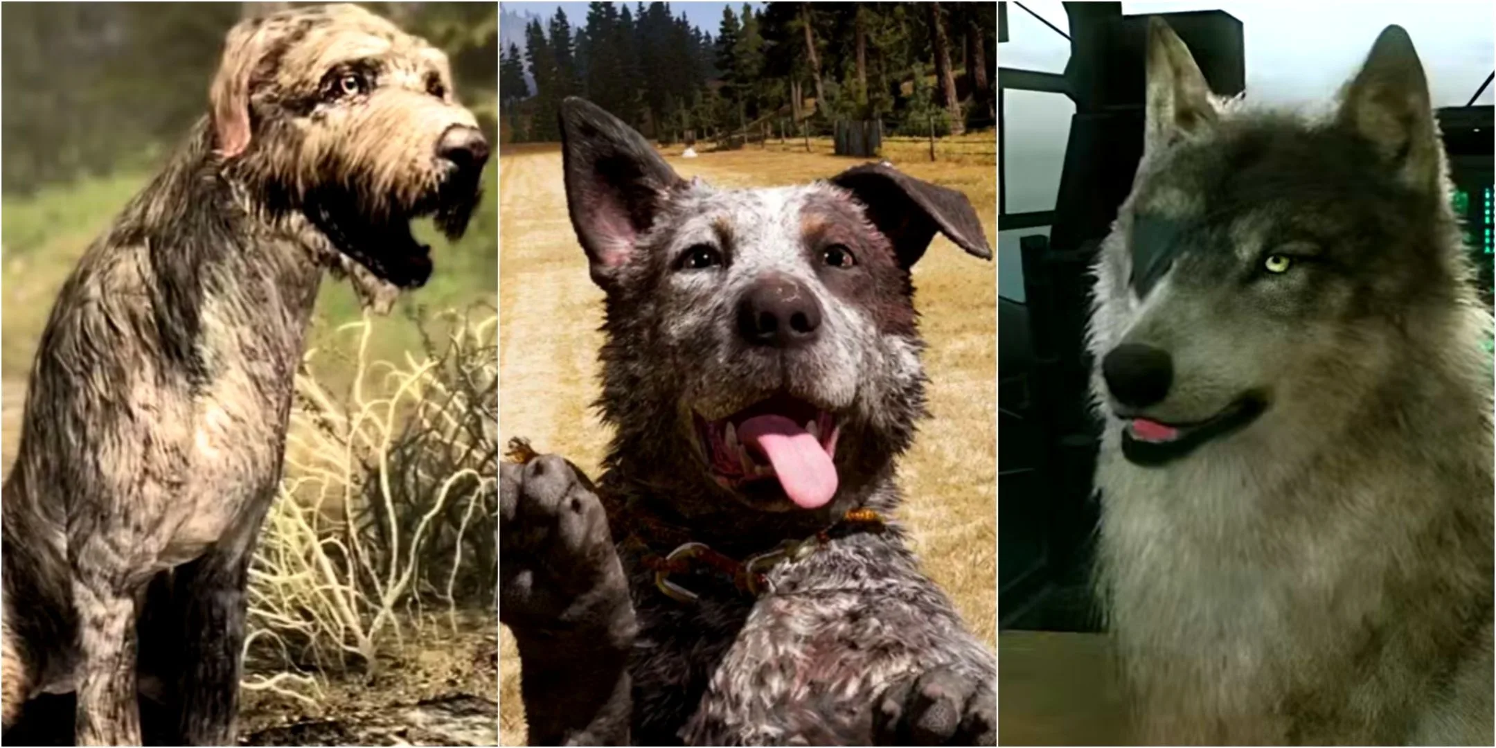 Best Open-World Games Where You Get A Dog, Ranked