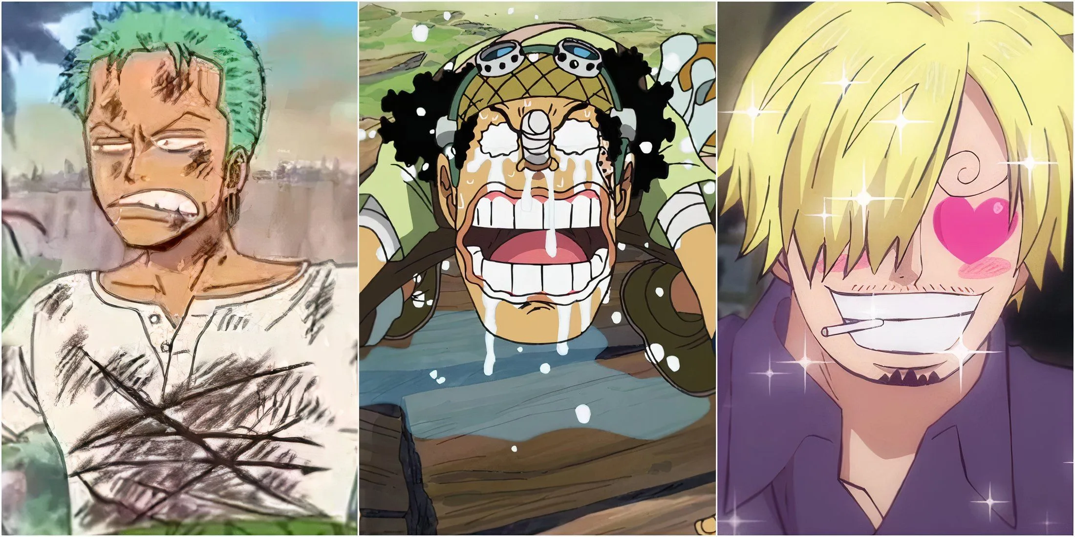 Every Straw Hats' Biggest Weakness In One Piece