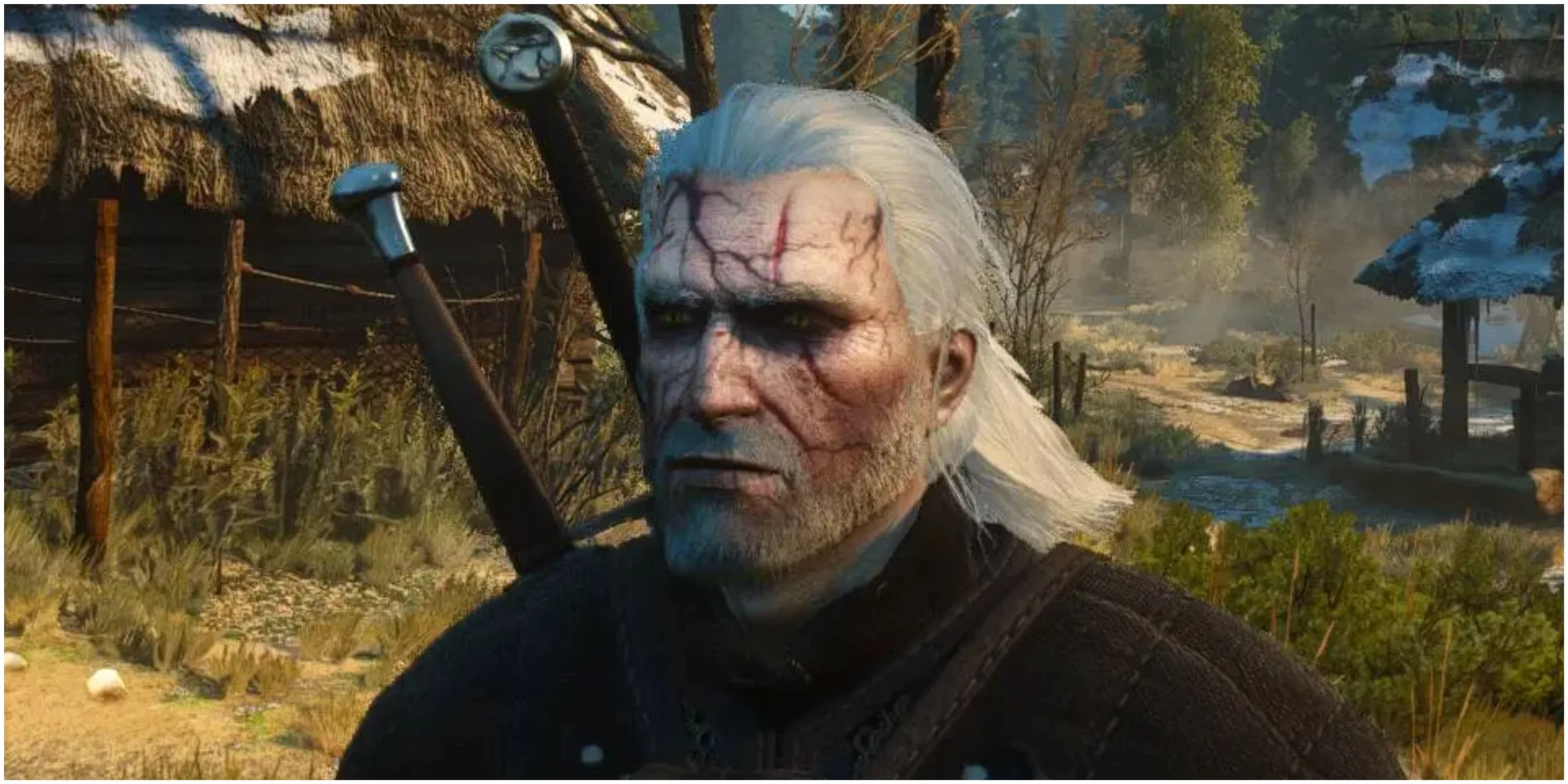 The Witcher 3: Where To Find Acid Extract