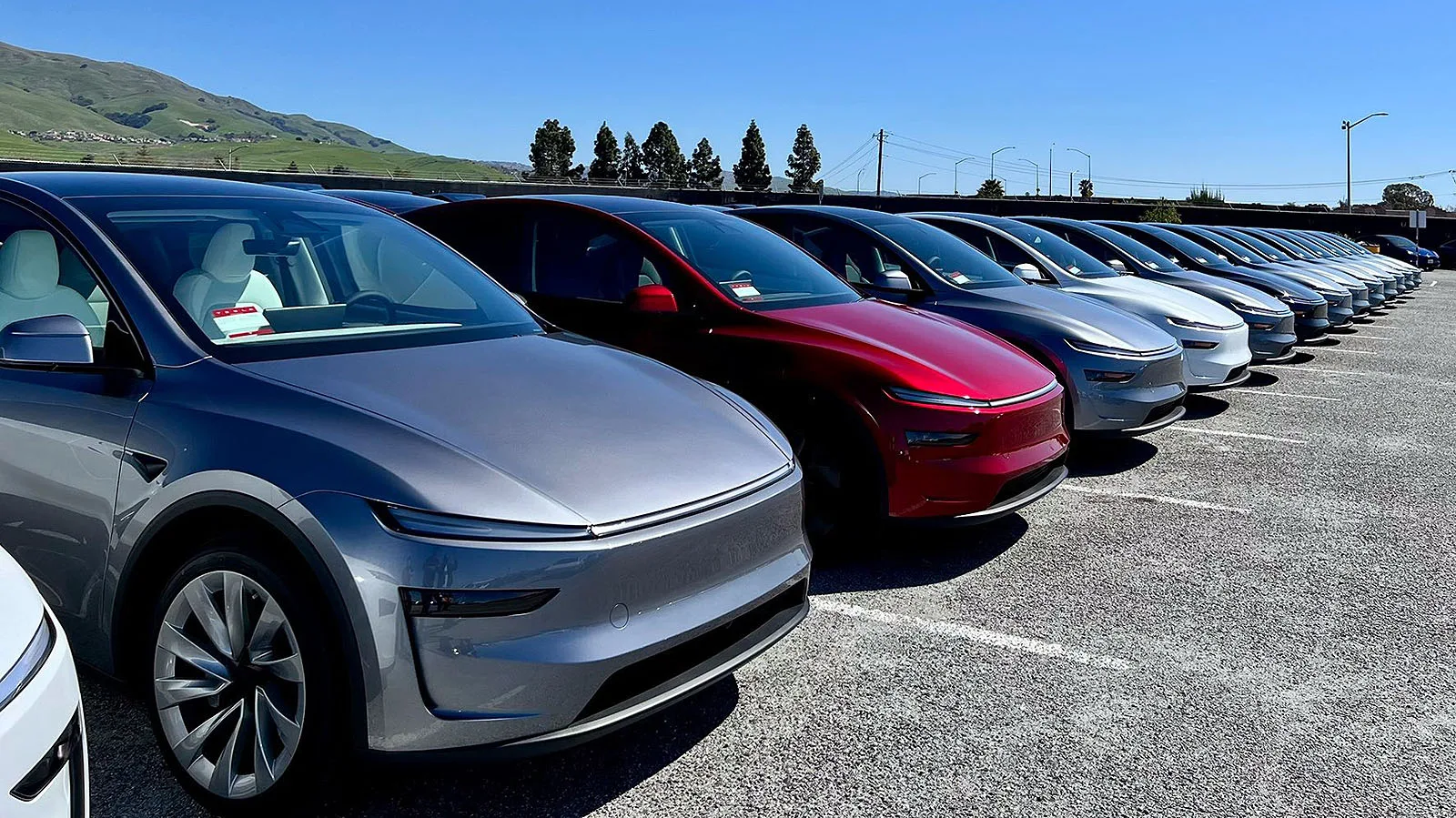 Elon Musk pledges to double US production banking on cheapest Tesla launch and Model Y Juniper ramp