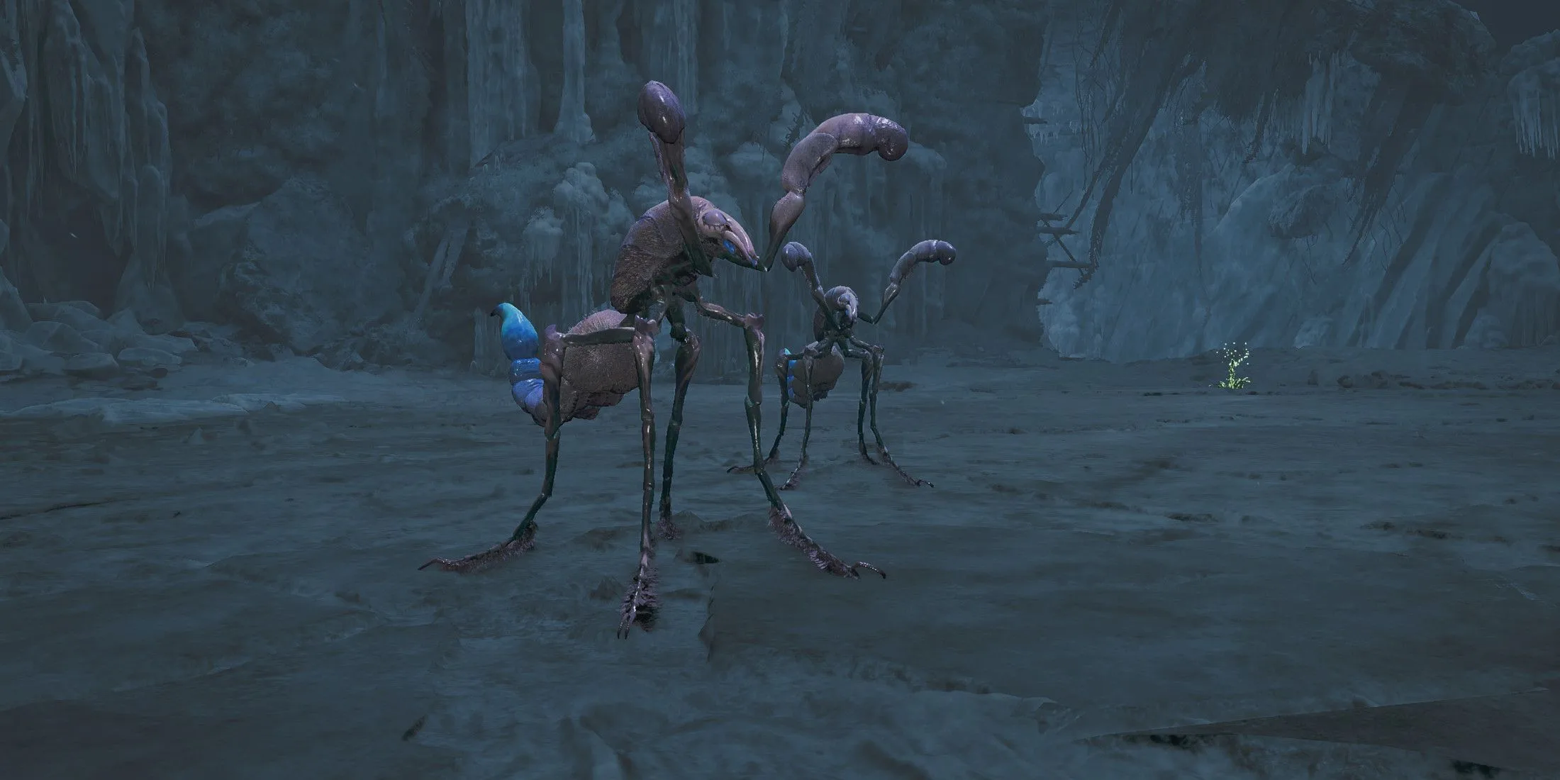 How to Farm Comaqchi Carapace in Monster Hunter Wilds