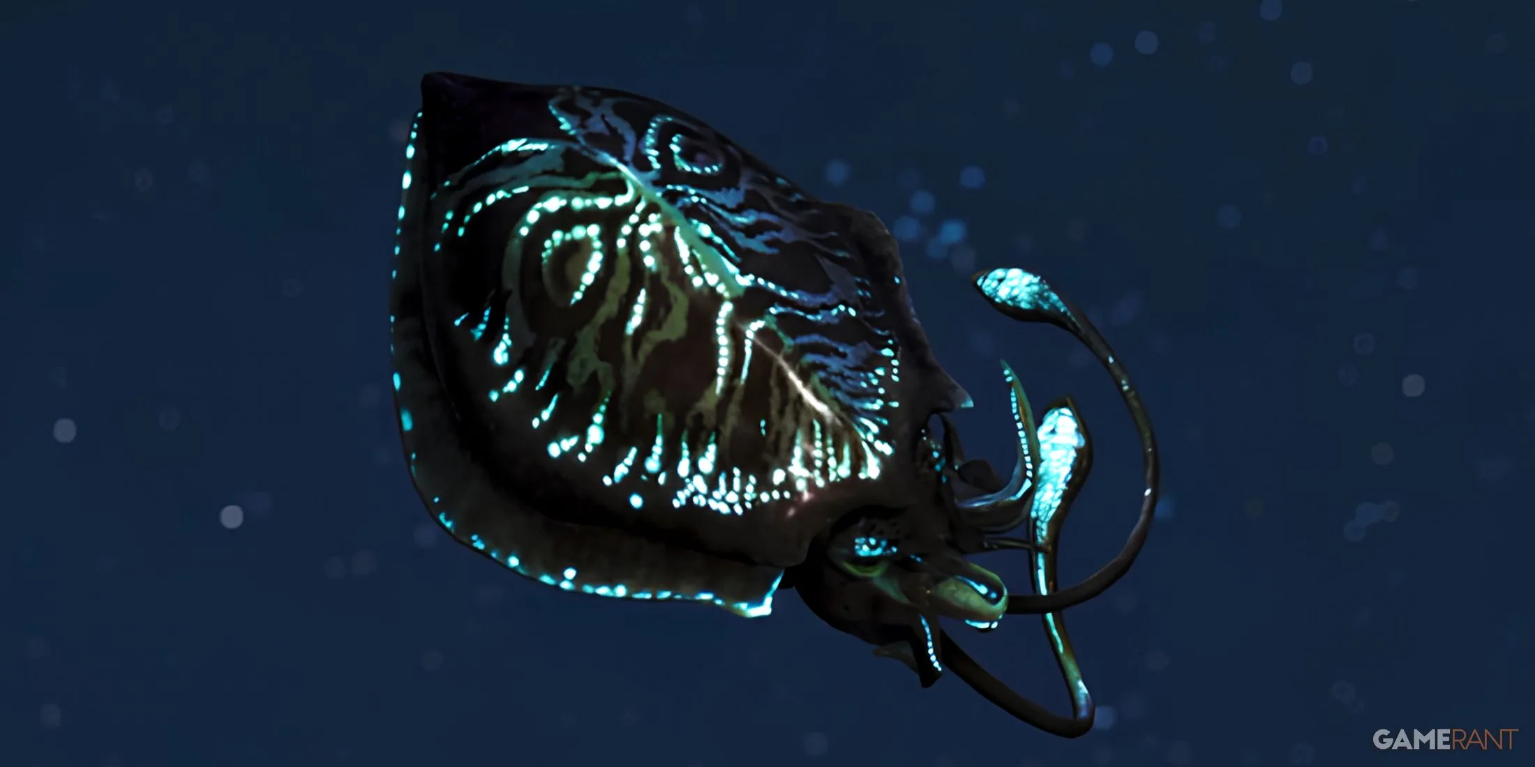 Where to Find a Giant Squid in Monster Hunter Wilds (Monster Squid Hunter)