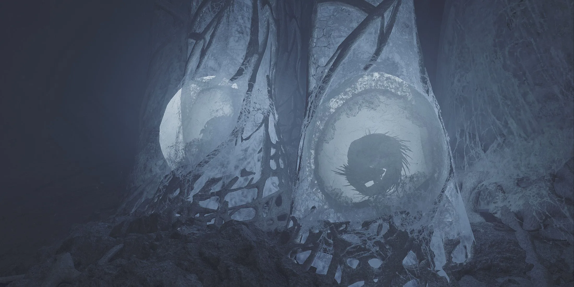 How to Get Guardian Seikret Feather in Monster Hunter Wilds