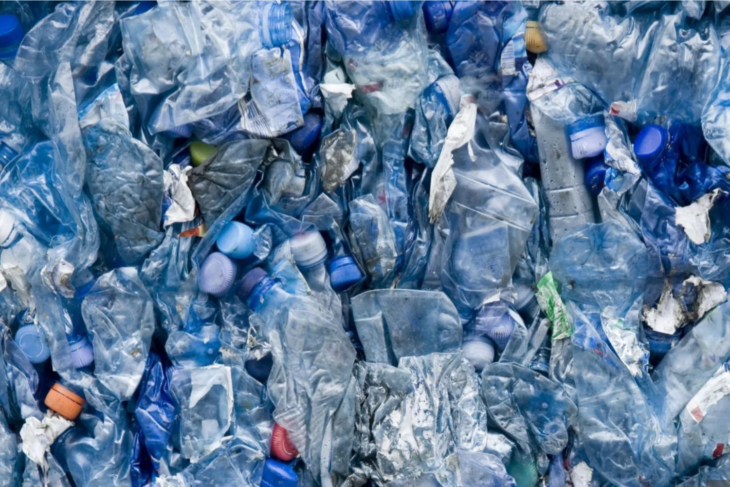 Scientists Sound the Alarm Over Plastics in Our Brains After Shocking Study