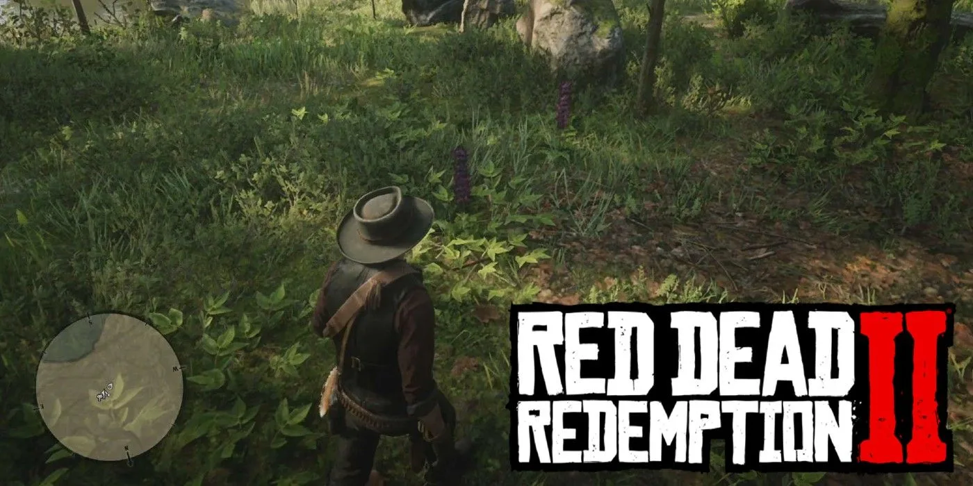 RDR2: Hummingbird Sage Locations