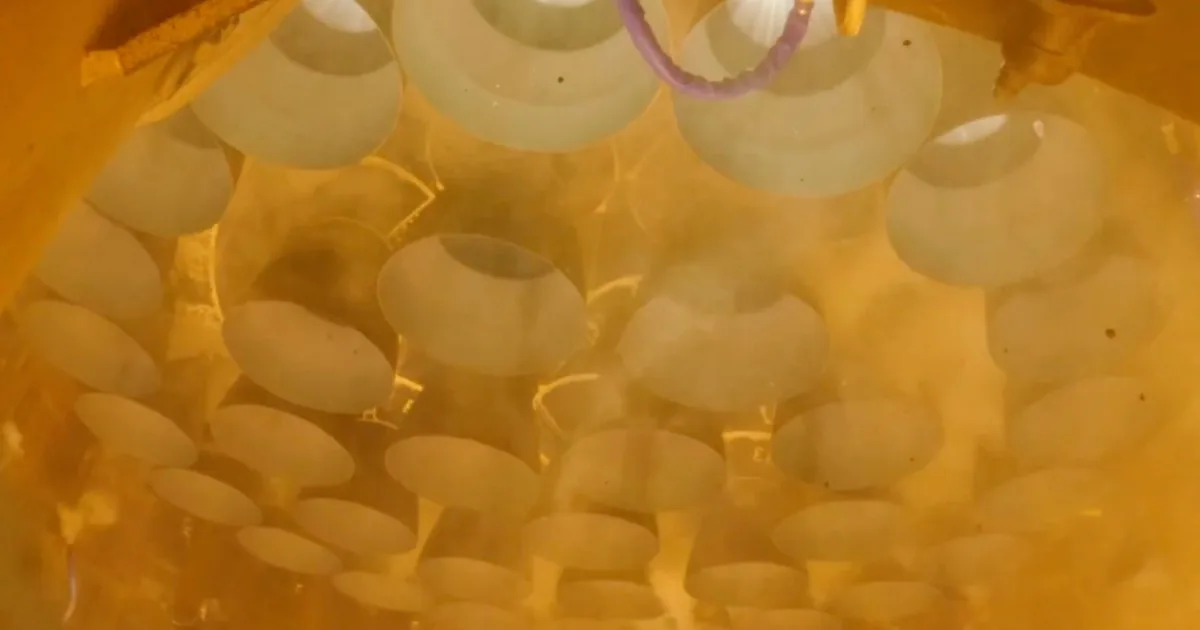 SpaceX shares stunning close-up footage of Starship engines firing up on 8th flight test