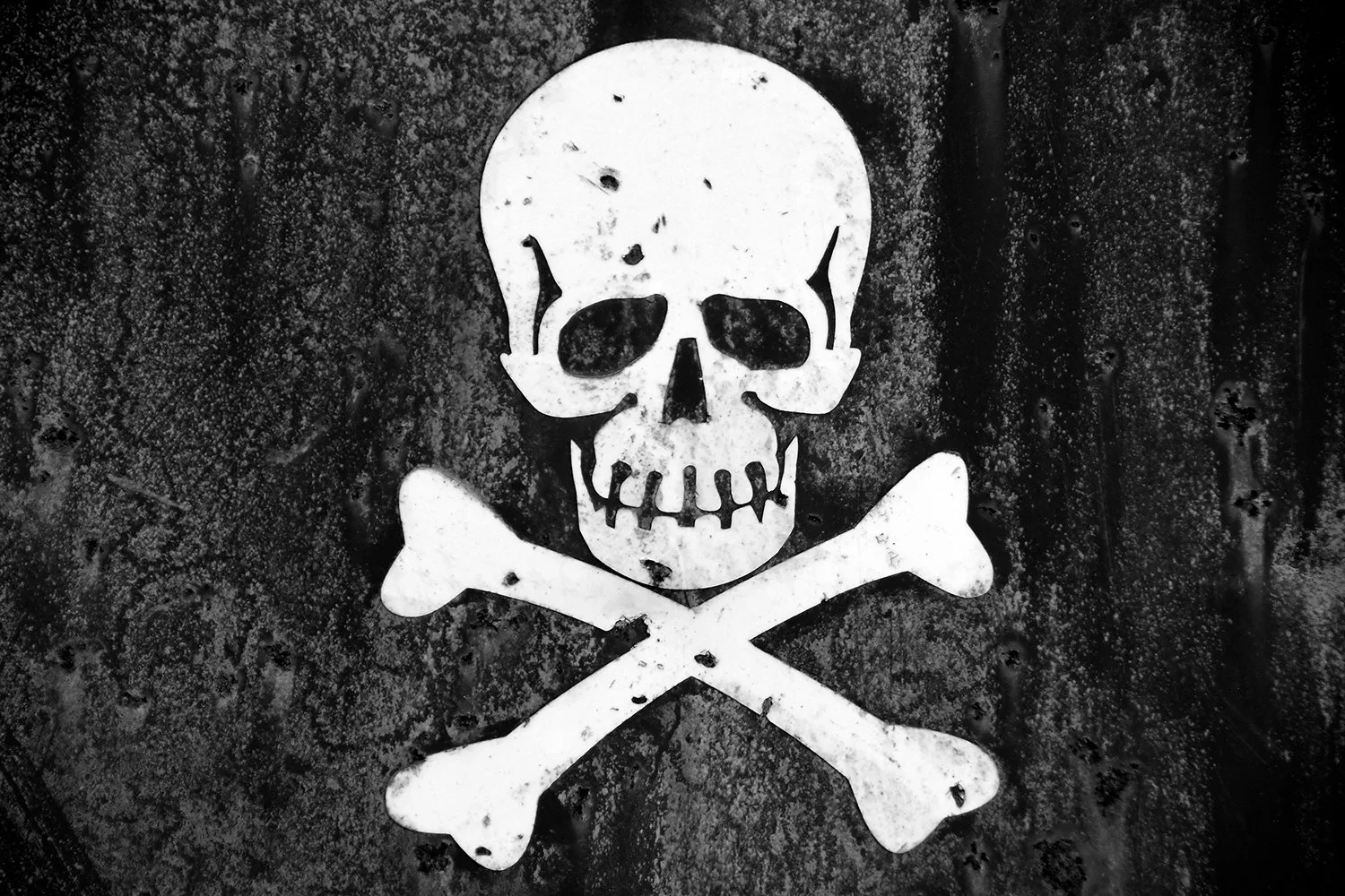 The Rise and Fall of Terrorgram: Inside a Global Online Hate Network