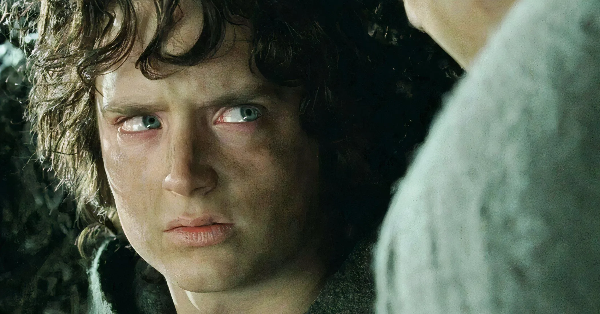Lord of the Rings Star Named the One Movie He’d Remove From Cinema History