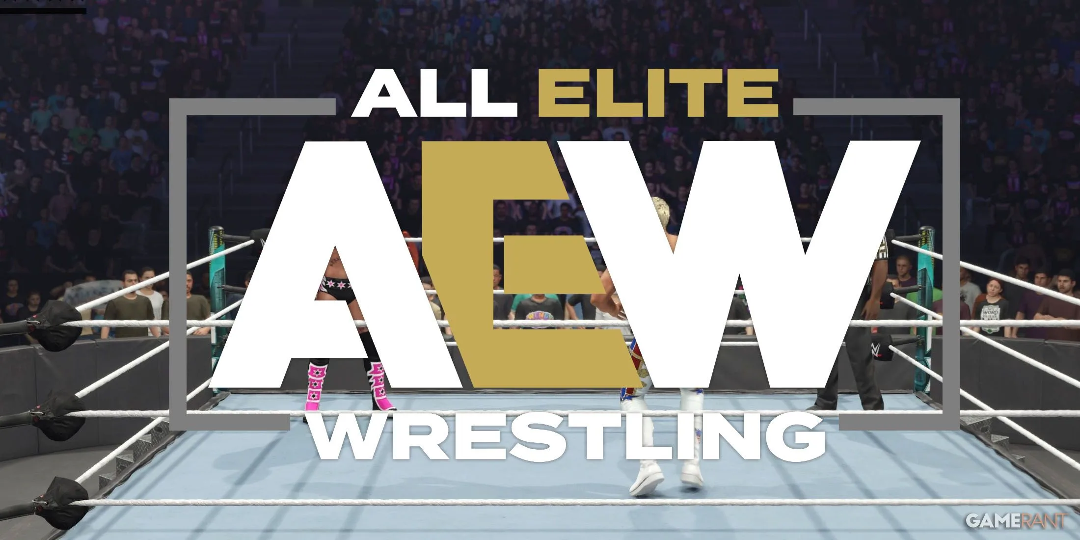WWE 2K25 Includes Surprise AEW Reference