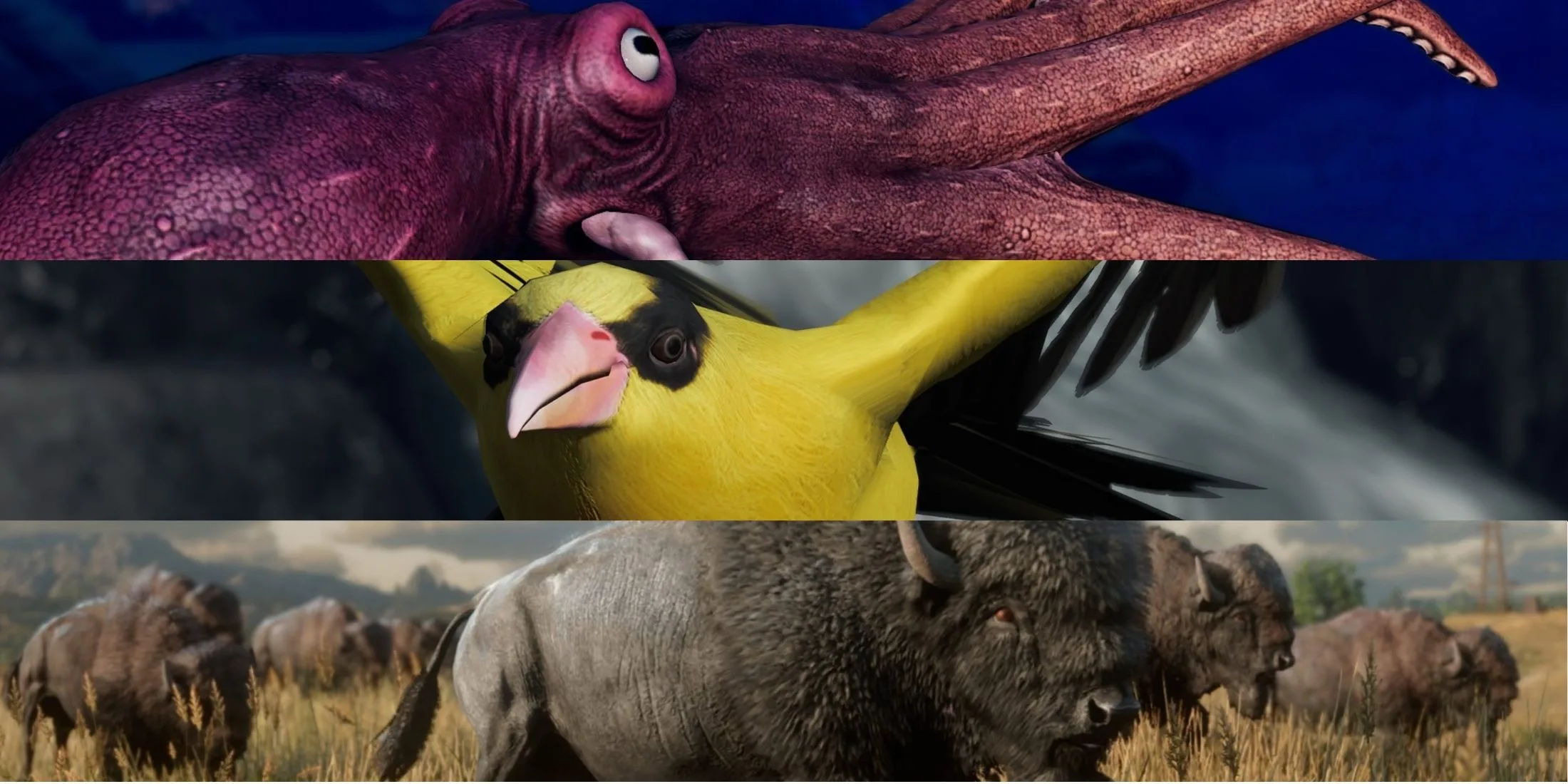 Best Games for Nature Photographers